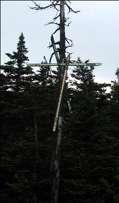 Ski Sculpture, Stratton Mountain, Long Trail, Vermont