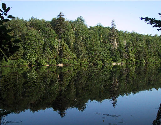 Griffith Lake, Long Trail, Vermont