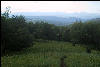 Trail through VT hills, Vermont