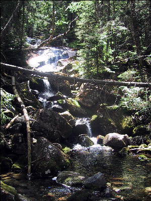 Beaver Brook, AT, New Hampshire