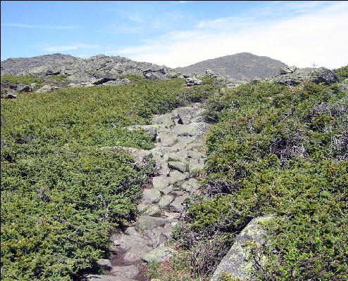 Trail to Madison Hut, White Mountains, AT, New Hampshire