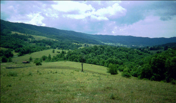 View Virginia