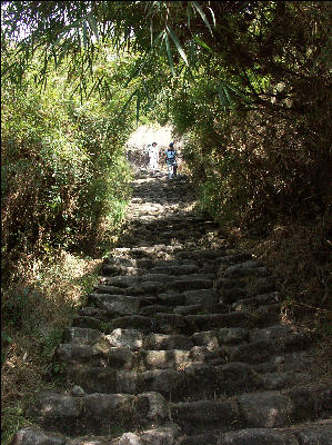 Stairs coming down from Third Pass, Inca Trail