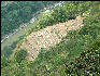 Terraces below Eastern Urban Sector