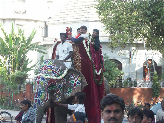 Pict1438 Wedding Parade Elephant Ahmedabad Amdavad