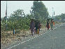 Pict2480 Women On Road West Of Pushkar