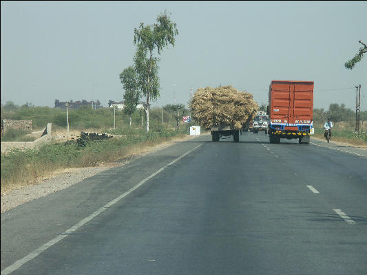 Pict2509 Carrying Hay West Of Pushkar