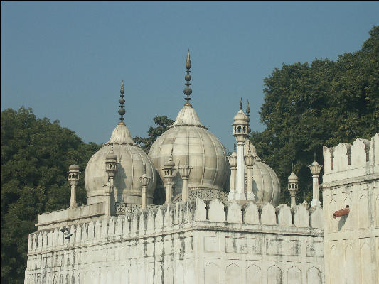 Pict0616 Domes Moti Masjad Red Fort Delhi