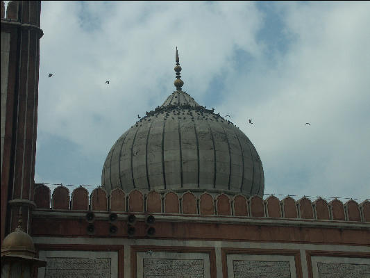 Pict0692 Dome Jami Masjid Delhi