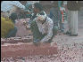 Pict3667 Workman Carving Stone Jodhbais Palace Fatehpur Sikri