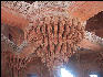 Pict3718 Detail Diwan I Khas Fatehpur Sikri