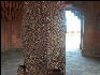 Pict3723 Column Detail Diwan I Khas Fatehpur Sikri