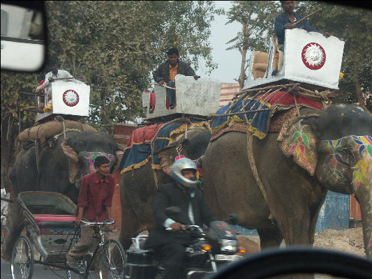 Pict2705 Elephant In Traffic Jaipur