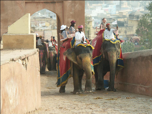 Pict2810 Elephant Ride Amber Fort Jaipur