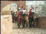 Pict2810 Elephant Ride Amber Fort Jaipur