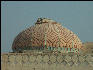 Pict2868 Dome Amber Fort Jaipur