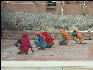 Pict2881 Woman Smoothing Floor Amber Fort Jaipur