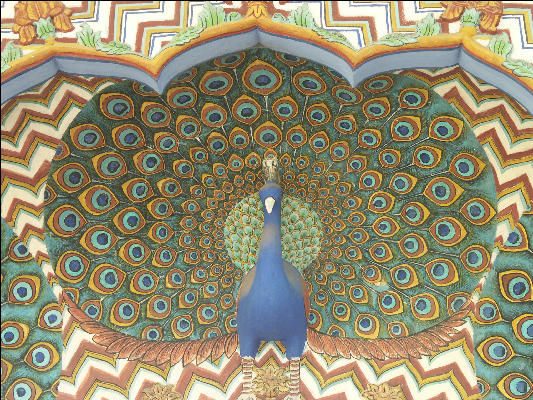 Pict3026 City Palace Museum Peacock Detail Jaipur