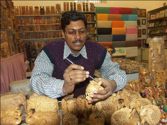 Pict3044 City Palace Museum Elephant Carver Jaipur