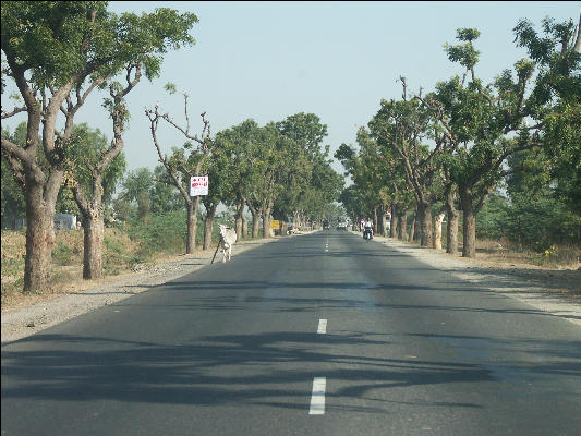 Pict2228 Road Near Jodhpur