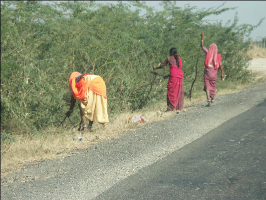 Pict2232 Woman Working Along Road Jodhpur