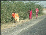 Pict2232 Woman Working Along Road Jodhpur