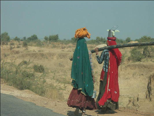 Pict3558 Woman On Road Sari Near Keoladeo Ghana NP