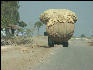 Pict3561 Truck With Load Near Keoladeo Ghana NP