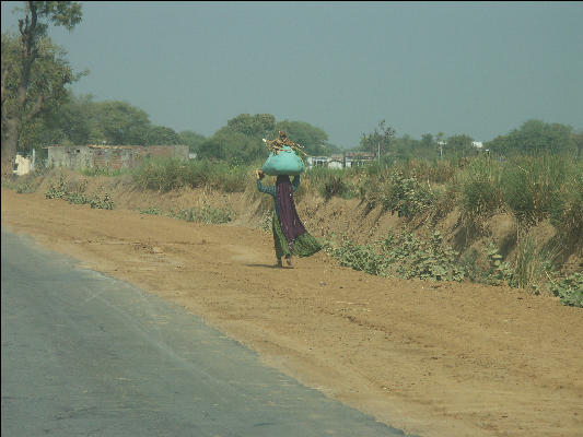 Pict3569 Woman On Road Side Carrying Load Near Keoladeo Ghana NP