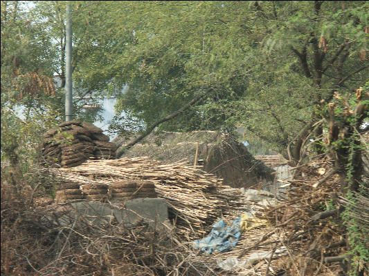 Pict3586 Dung Pile Near Keoladeo Ghana NP