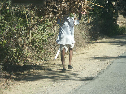 PICT1954 Man Carrying Bundle On Way To Kumbhalgarh Fort