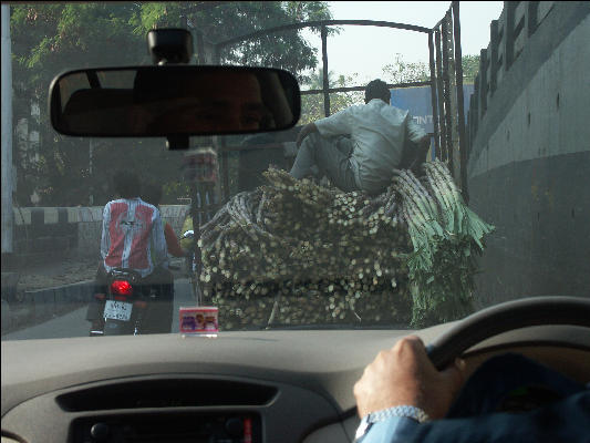 Pict1201 Behind Sugar Cane Truck Mumbai