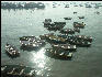 Pict1209 Boats In Harbor Mumbai