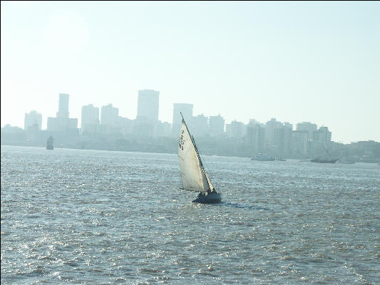 Pict1373 Sail Boat In Front Of Mumbai