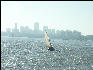 Pict1373 Sail Boat In Front Of Mumbai