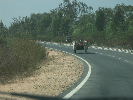 Pict0778 Oxen Cart On Highway Mysore