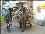 Pict2603 Camel Cart And Straw Pushkar