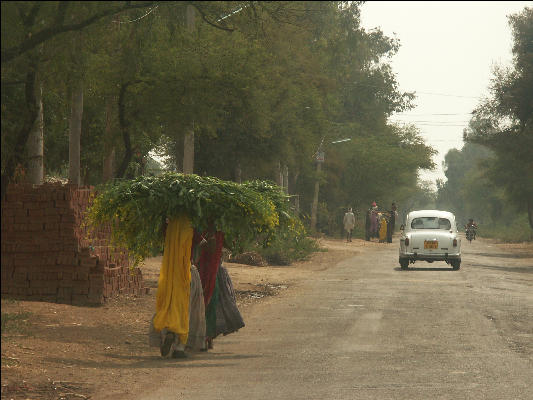 Pict3173 Woman With Load West Of Ranthambore National Park