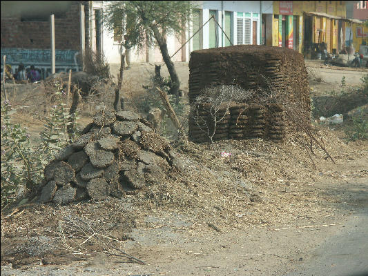 Pict3189 Dung Pile Ranthambore National Park