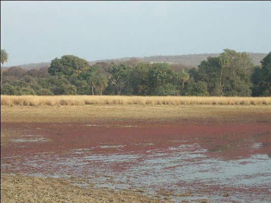 Pict3309 Lake Ranthambore National Park