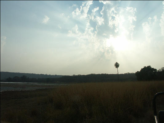 Pict3314 Sky Near Sunset Ranthambore National Park