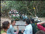 Pict3344 Traffic Jam Tiger Spotting Ranthambore National Park