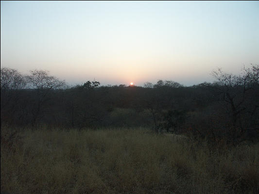 Pict3367 Sunrise Am Trip Ranthambore National Park