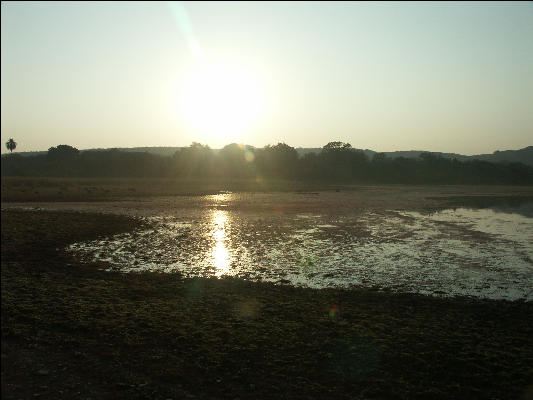 Pict3412 Sunrise Ranthambore National Park