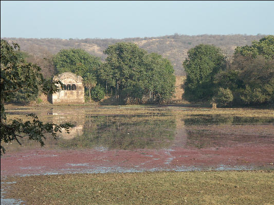 Pict3471 Lake View Ranthambore National Park