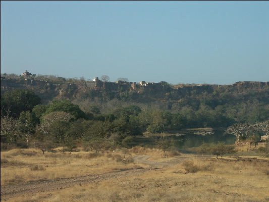 Pict3475 Fort View Ranthambore National Park