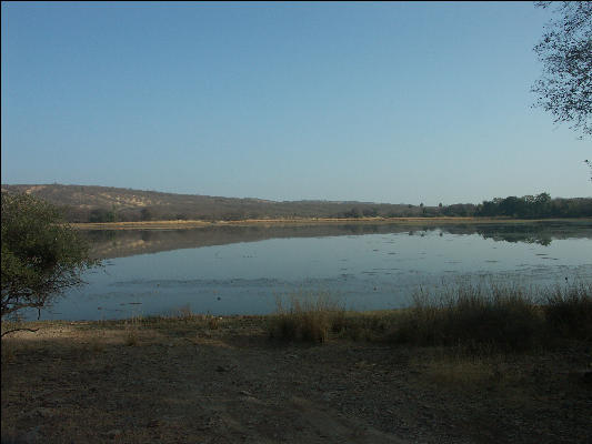 Pict3481 Lake View Ranthambore National Park