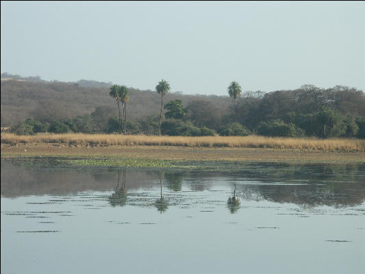 Pict3484 Lake Reflection Ranthambore National Park