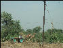 Pict1498 Camel Cart South Of Udaipur