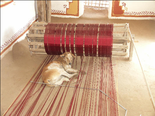 Pict1728 Loom With Dog Shilpgram Udaipur